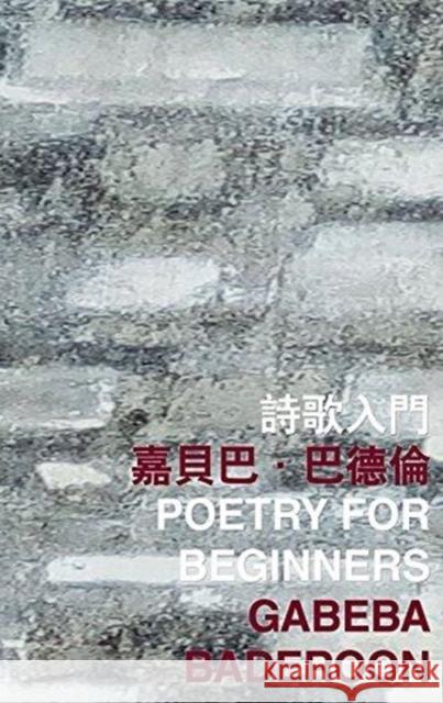 Poetry for Beginners Gabeba Baderoon 9789882370241 Chinese University Press