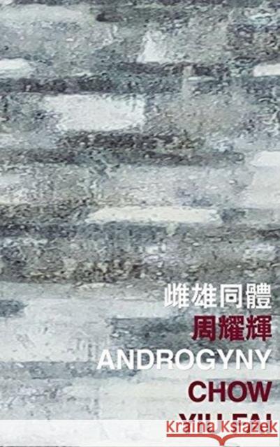 Androgyny Yiu Fai Chow 9789882370333 Chinese University Press