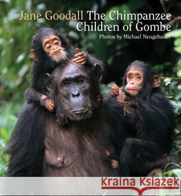 Chimpanzee Children of Gombe Jane Phd Goodall Michael Neugebauer 9789888240838