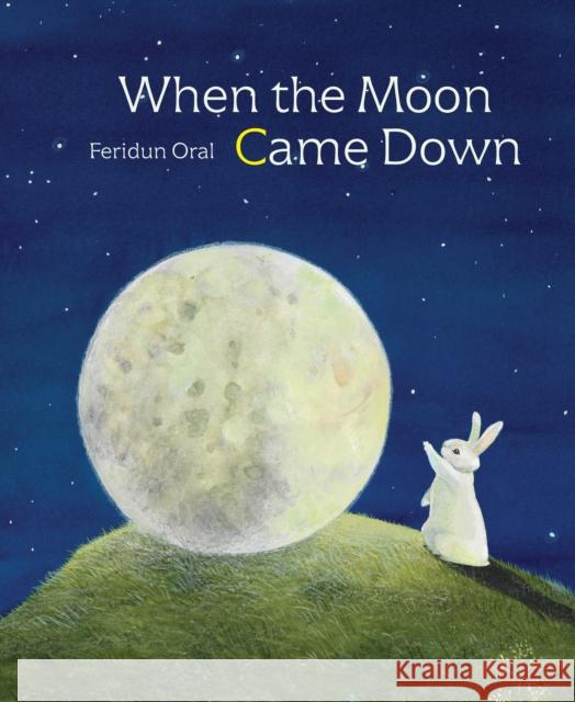 When the Moon Came Down Feridun Oral 9789888341764