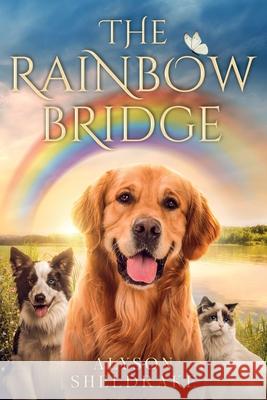 The Rainbow Bridge Alyson Sheldrake 9789893639801 Alyson Sheldrake