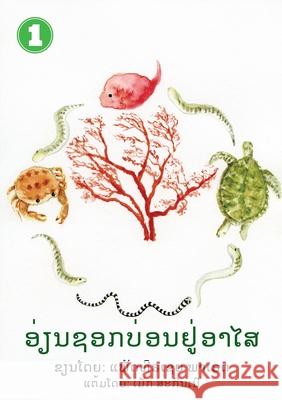 Eel Finds A Home (Lao Edition) / ອ່ຽນຊອກເຮືອນ Paraide, Patricia 9789932011254 Library for All