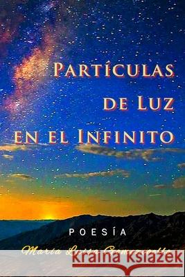 Partículas de Luz en el Infinito: Poesía María Luisa Gomezcoello Cobo, David 9789942408013 Camara Ecuatoriana del Libro