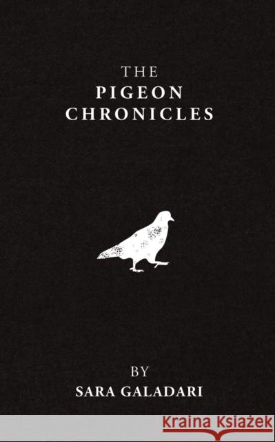 The Pigeon Chronicles Sara Galadari 9789948799610 Austin Macauley Publishers FZE