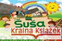 Šuša pro děti Bahram Bagirzade 9789952567298 Joint Bridges