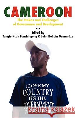 Cameroon: The Stakes and Challenges of Governance and Development Fonchingong, Tangie Nsoh 9789956558452 Langaa Rpcig