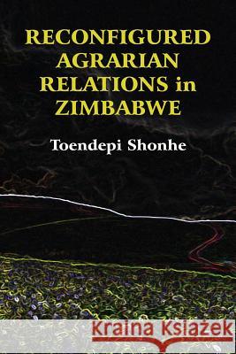 Reconfigured Agrarian Relations in Zimbabwe Toendepi Shonhe 9789956764211 Langaa RPCID