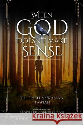 When God Doesn't Make Sense Apostle Godbless Adjei Theophilus Tawiah 9789988373344