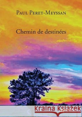 Chemin de destinées Péret-Meyssan, Paul 9791022722995 Bookelis