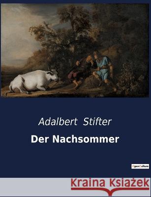 Der Nachsommer Adalbert Stifter 9791041901548