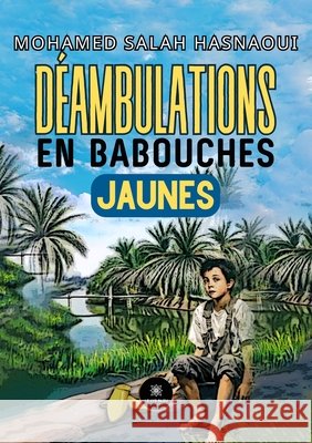 Déambulations en babouches jaunes Salah Hasnaoui, Mohamed 9791042252946