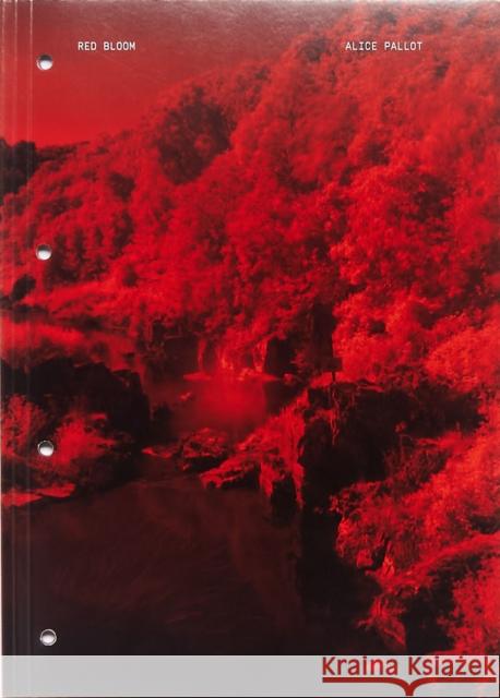Red Bloom Alice Pallot 9791092727647