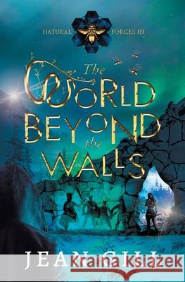 The World Beyond the Walls Gill Jean Gill 9791096459162