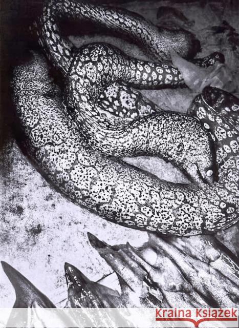 Napoli Anders Petersen 9791280978066