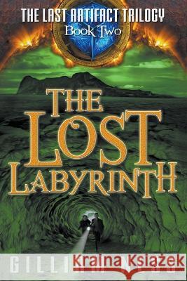 The Lost Labyrinth Gilliam Ness   9798201109714 Polymath Publishing