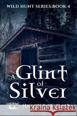 A Glint of Silver Jennifer St Clair 9798201669188