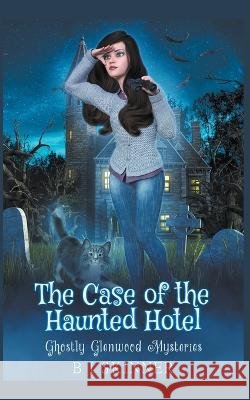 The Case of the Haunted Hotel B I Skinner 9798201815400 Felix the Cat Rocks
