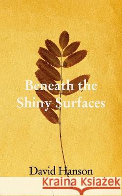 Underneath The Shiny Surfaces: Philosophical Musings David Paul Hanson 9798211510098