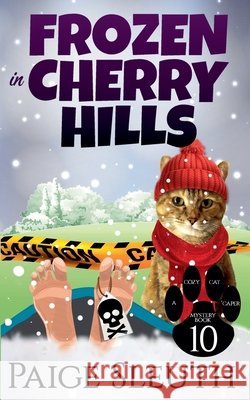 Frozen in Cherry Hills Paige Sleuth   9798215295618 Marla Bradeen