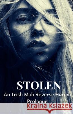 Stolen S L Davies 9798215419878 S L Davies