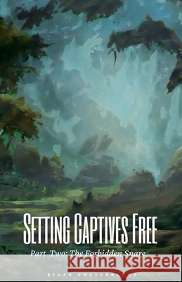 Setting Captives Free and the Spiritual Realm Part Two Riaan Engelbrecht 9798215713853 Riaan Engelbrecht
