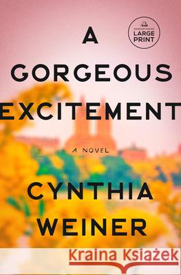 A Gorgeous Excitement: A Novel Cynthia Weiner 9798217070442 Diversified Publishing