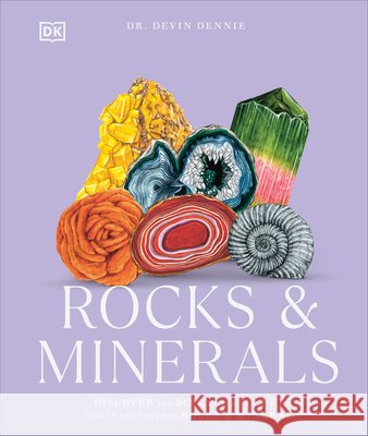 Rocks & Minerals DK 9798217306787 DK Publishing (Dorling Kindersley)