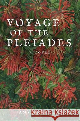 Voyage of the Pleiades Amy Marie Turner   9798218168063 Fauve Press