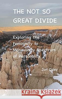 The Not So Great Divide Jon Coley   9798223091820 Jon Coley