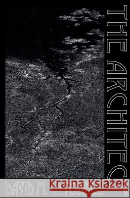 The Architect David Antonelli 9798224595853