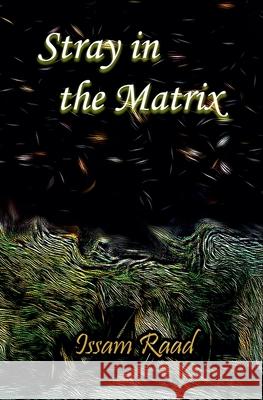 Stray in the Matrix Issam Raad 9798227191632