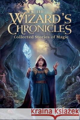 The Wizard's Chronicles Sarah Elizabeth Davis 9798227665133