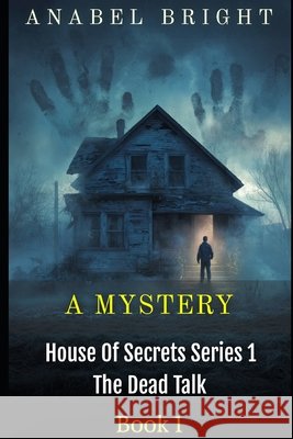 A Mystery: 'Things Just Don't Make Sense' Bright, Anabel 9798242457997