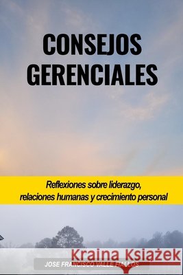 Consejos Gerenciales Valle Garcia, Francisco Jafet, Valle Fiallos, Jose Francisco 9798245099507