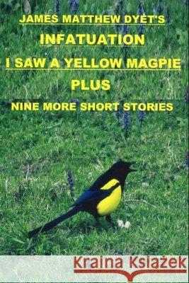 Infatuation: I Saw a Yellow Magpie Dyet, James Matthew 9798279172696