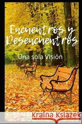 Encuentros y Desencuentros, Una Sola Visión Ramírez López Cjrl, Carlos Javier 9798298862028