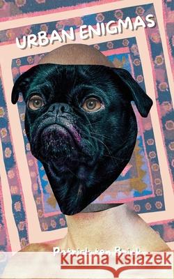 Urban Enigmas Patrick Ten Brink 9798319921499 Blurb