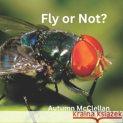 Fly or Not? Autumn McClellan 9798321604571