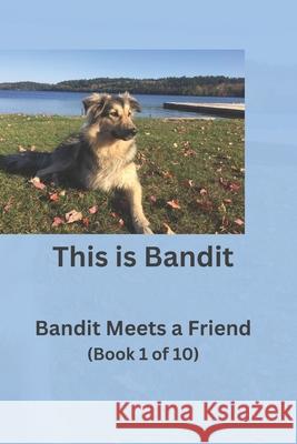 This is Bandit: Book 1: Bandit Meets a Friend Sarah Belanger, Shelley Wikiruk 9798326684455 Independently Published