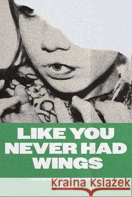 Like You Never Had Wings: Transformations In Horror Joe Koch, Kyle Winkler, Charlene Elsby 9798330263196