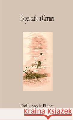 Expectation Corner ANNOTATED GIFT EDITION Emily Steele Elliott, Helen Hadden 9798330566990