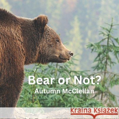 Bear or Not? Autumn McClellan 9798332002809