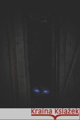 From Out of the Basement Shadows: Five terrifying tales Michael J Bushnell 9798333077752