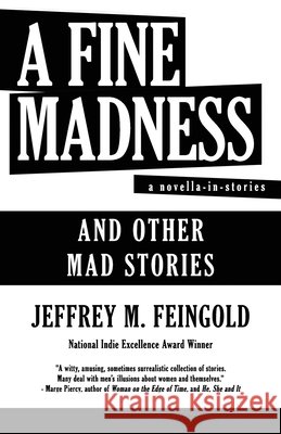 A Fine Madness: A Novella in Stories and Other Mad Stories Jeffrey M Feingold 9798333443489