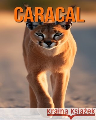 Caracal: Fun and Fascinating Facts and Pictures About Caracal Raine Hawthorn 9798334236820