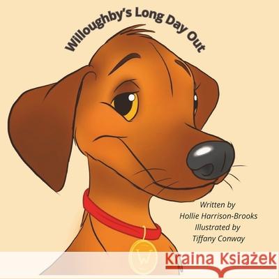 Willoughby's Long Day Out Tiffany Conway, Hollie Harrison-Brooks 9798335339407