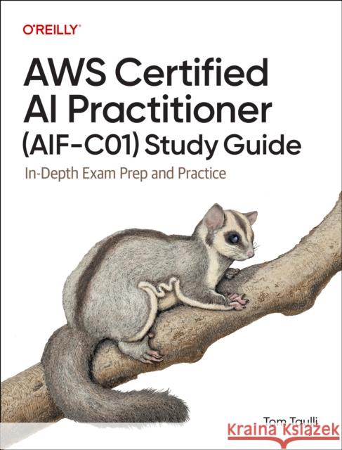 AWS Certified AI Practitioner Study Guide Tom Taulli 9798341622333 O'Reilly Media