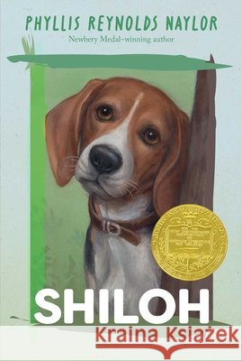 The Shiloh Phyllis Reynolds Naylor 9798347120734
