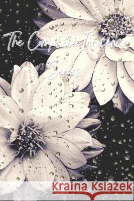 The Complete Innocence Series S E Green   9798353362456 Independently Published