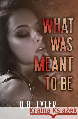 What Was Meant To Be Q B Tyler 9798360448297 Independently Published